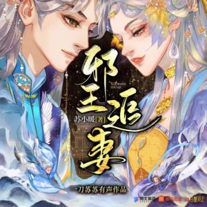 邪王追妻-一刀苏苏